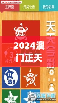 2024澳门正天天开彩正版挂牌,精细化实施分析_多功能版DDZ14.25