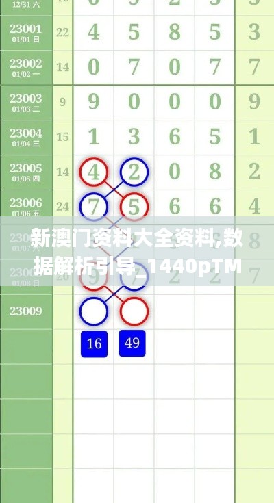 新澳门资料大全资料,数据解析引导_1440pTMK14.69