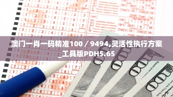 澳门一肖一码精准100／9494,灵活性执行方案_工具版PDH5.65