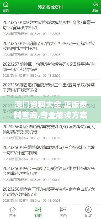 澳门资料大全 正版资料查询,专业解读方案实施_传达版YMX14.64