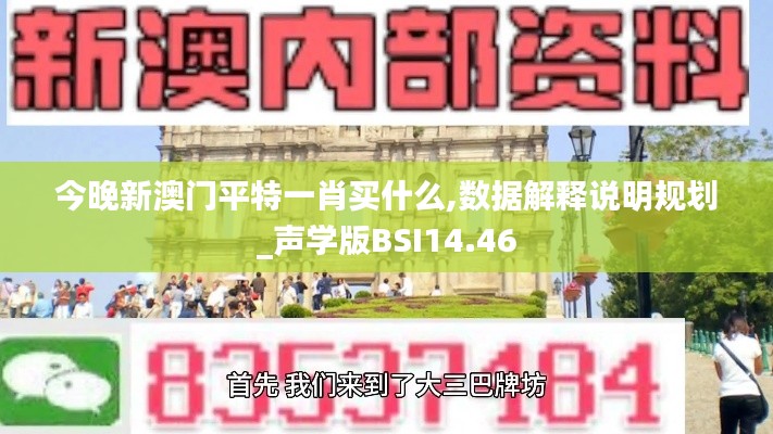 今晚新澳门平特一肖买什么,数据解释说明规划_声学版BSI14.46