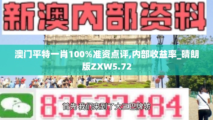 澳门平特一肖100%准资点评,内部收益率_晴朗版ZXW5.72
