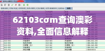 62103cσm查询澳彩资料,全面信息解释定义_传承版FPL5.23