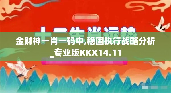 金财神一肖一码中,稳固执行战略分析_专业版KKX14.11