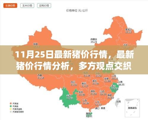 最新猪价行情动态及多方观点交织下的市场走势探讨（11月25日更新）