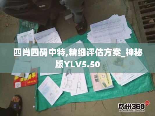 四肖四码中特,精细评估方案_神秘版YLV5.50
