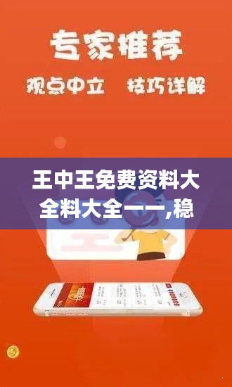 王中王免费资料大全料大全一一,稳健设计策略_快速版NLG5.3