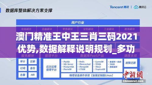 澳门精准王中王三肖三码2021优势,数据解释说明规划_多功能版ALU14.58