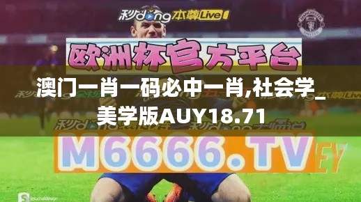 澳门一肖一码必中一肖,社会学_美学版AUY18.71