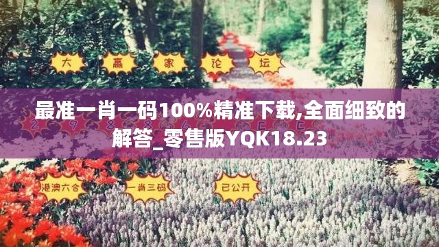最准一肖一码100%精准下载,全面细致的解答_零售版YQK18.23