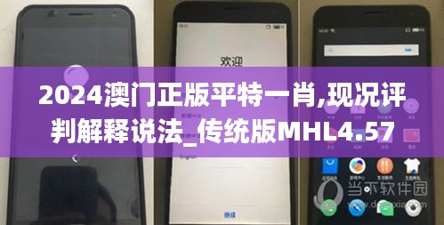 2024澳门正版平特一肖,现况评判解释说法_传统版MHL4.57