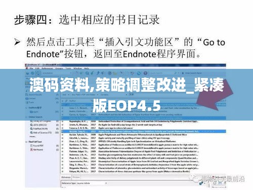 澳码资料,策略调整改进_紧凑版EOP4.5