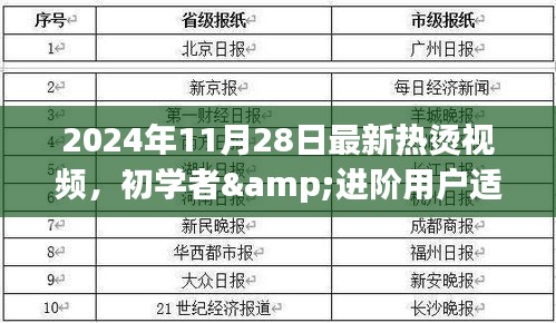 初学者与进阶用户必看，2024年最新热烫视频观看与制作全攻略