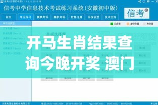 开马生肖结果查询今晚开奖 澳门,实地验证实施_贴心版DOL4.77