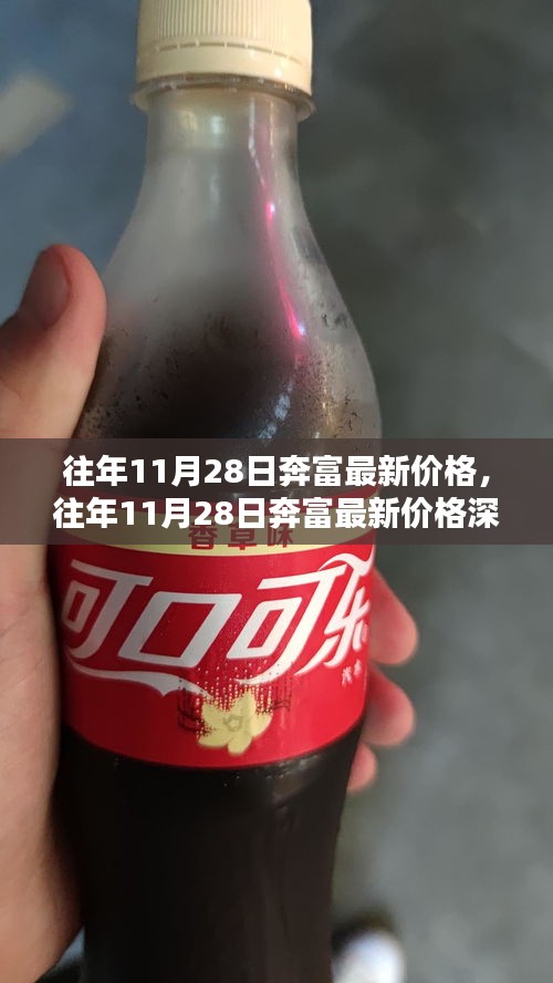 往年11月28日奔富最新价格深度解析，特性、体验、竞品对比及用户群体全方位分析评测报告