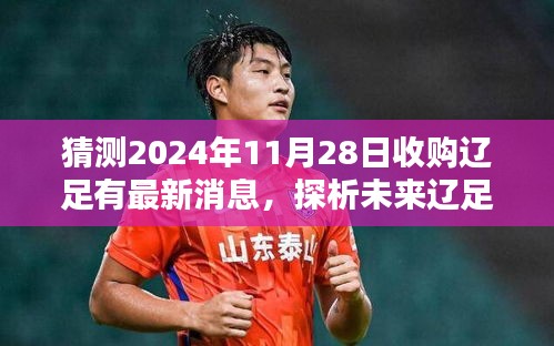 聚焦2024年11月28日，辽足收购传闻最新动态探析
