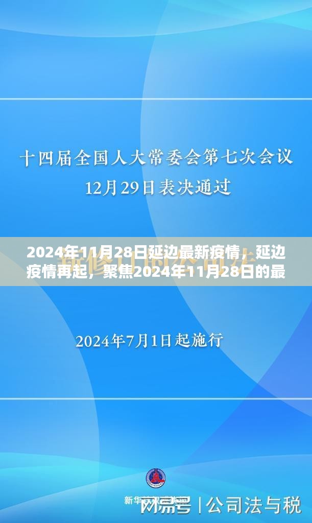 2024年11月28日延边疫情再起，最新动态与影响