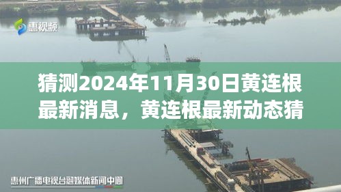 黄连根最新动态猜想，展望与影响至2024年11月30日