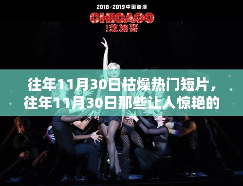 往年11月30日热门短片解析与推荐，从枯燥到惊艳的深度探索