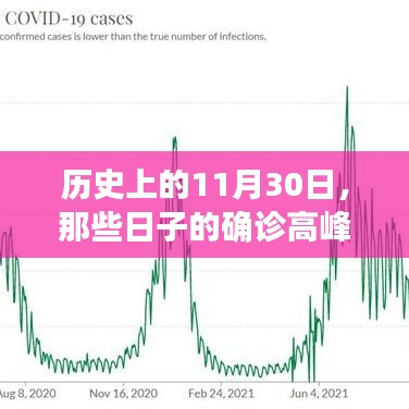 历史上的确诊高峰，回顾那些发生在11月30日的特殊日子