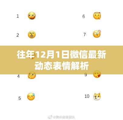 微信最新动态表情解析，揭秘往年12月1日的秘密趋势