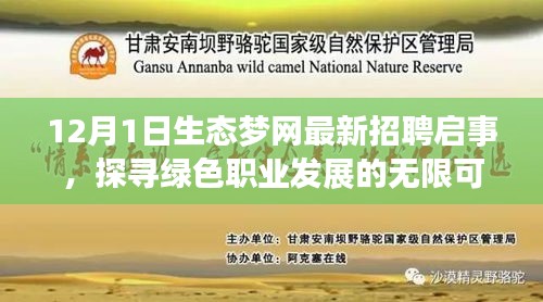 生态梦网招聘启事，探寻绿色职业发展的无限潜力