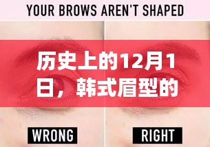 韩式眉型时尚演变之路，历史上的12月1日回顾