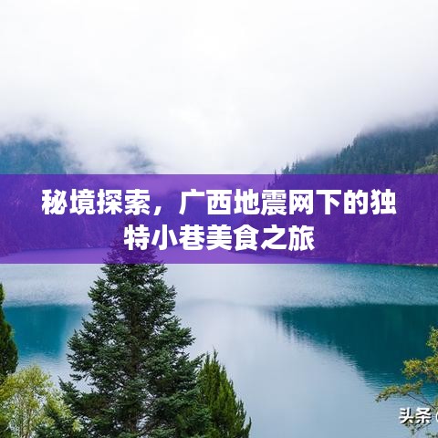 广西秘境美食之旅，地震网下独特小巷的美食探索