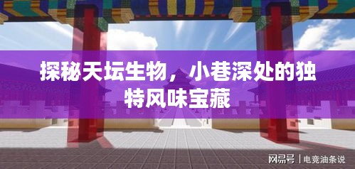 天坛生物，小巷深处的独特风味探秘