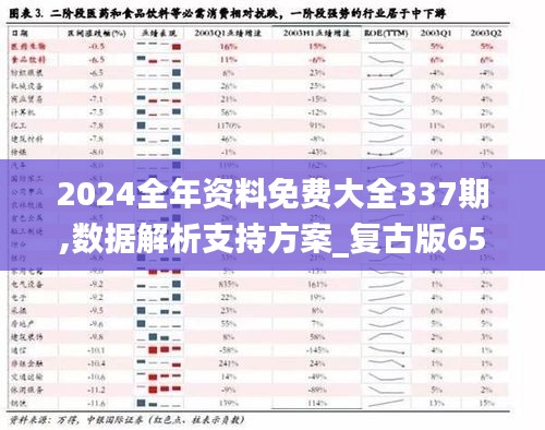 2024全年资料免费大全337期,数据解析支持方案_复古版65.360-6