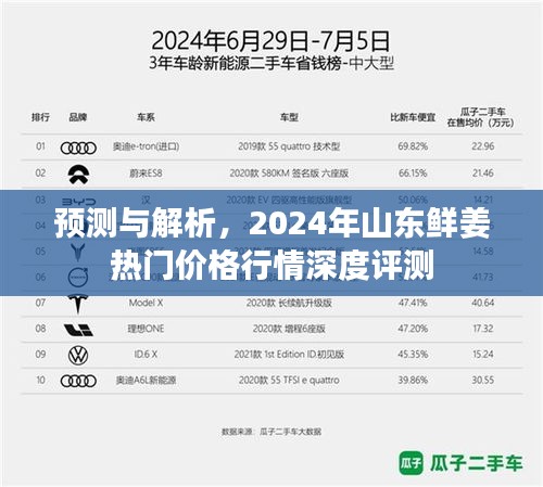 2024年山东鲜姜热门价格行情深度预测与解析