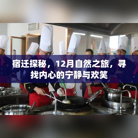 宿迁探秘，12月自然之旅，追寻心灵宁静与欢乐之旅