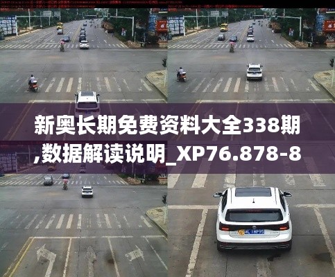 新奥长期免费资料大全338期,数据解读说明_XP76.878-8