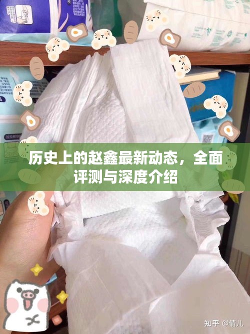 赵鑫最新动态揭秘，全面评测与深度介绍回顾