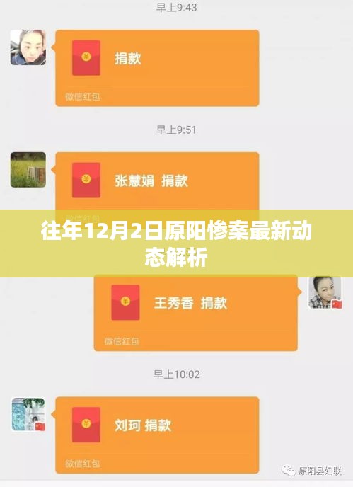 原阳惨案最新动态解析，历年12月2日事件回顾与解析