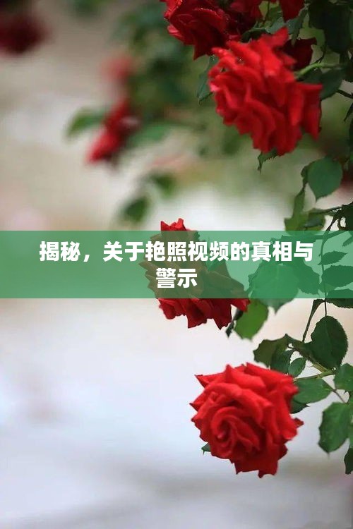揭秘艳照视频的真相与警示，涉黄问题的深度剖析