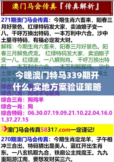 今晚澳门特马339期开什么,实地方案验证策略_7DM164.122-2