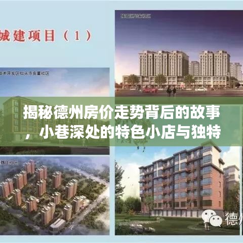 德州房价背后的故事，小巷特色小店与环境魅力的影响揭秘