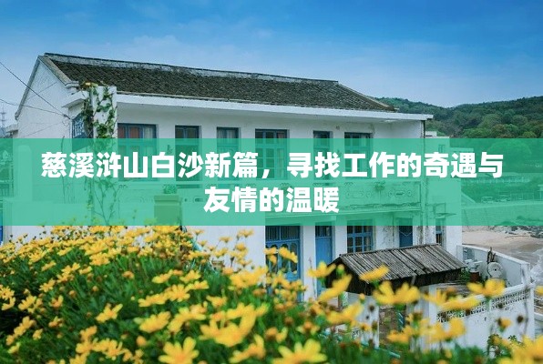 慈溪浒山白沙新篇，工作奇遇与友情温暖之旅