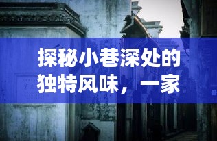 探秘小巷深处的独特风味，揭秘隐藏版特色小店背后的日本最新MV理论历史