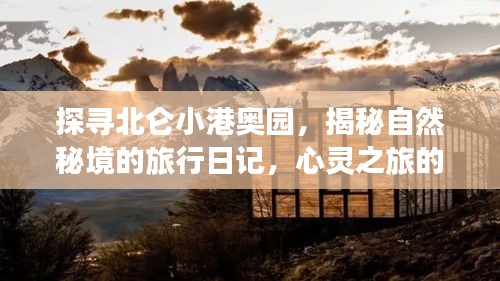 探寻北仑小港奥园，自然秘境的心灵之旅