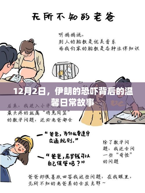 伊朗恐吓背后的日常温馨故事，揭秘背后的真相