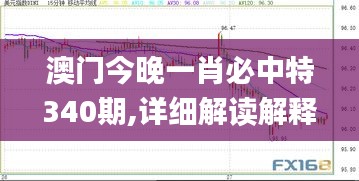澳门今晚一肖必中特340期,详细解读解释定义_XP199.346-2