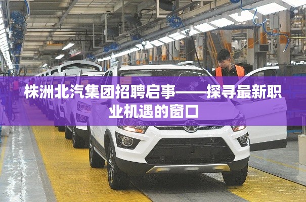 株洲北汽集团招聘启事，最新职业机遇窗口开启