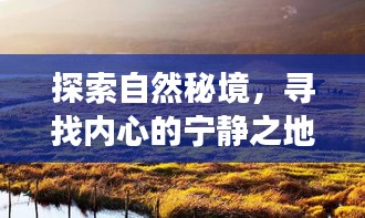 云倾十二月之旅，探寻自然秘境，寻觅内心宁静之地