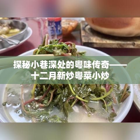 探秘小巷深处的粤味传奇，十二月新炒粤菜小炒盛宴