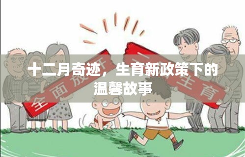 十二月奇迹，新政策下的生育温馨故事