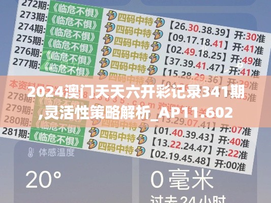 2024澳门天天六开彩记录341期,灵活性策略解析_AP11.602