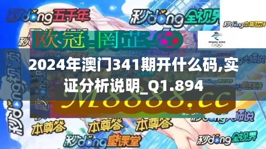 2024年澳门341期开什么码,实证分析说明_Q1.894
