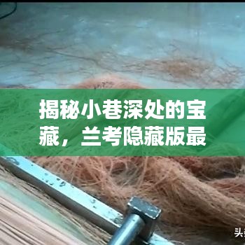 子母门 第167页